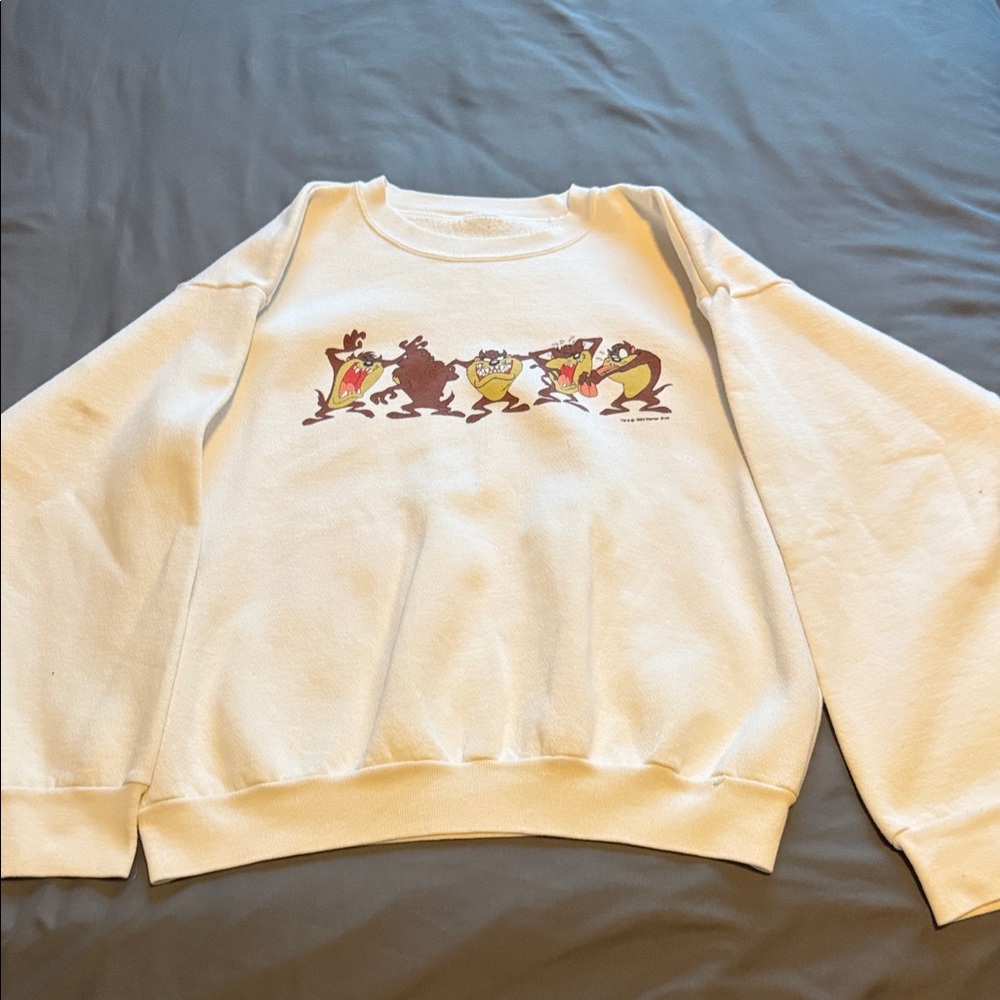 Warner Bros. Cream Cartoon Character Sweater